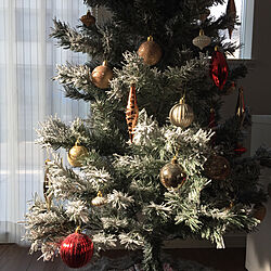 リビング/180cm/ニトリ/クリスマスツリー/クリスマス...などのインテリア実例 - 2017-11-16 09:59:10