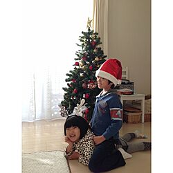リビング/クリスマスイブ/クリスマスツリーのインテリア実例 - 2013-12-24 17:38:53