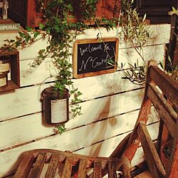 玄関/入り口/DIY/セリア/植物のインテリア実例 - 2014-03-14 06:03:42
