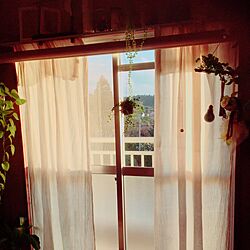 リビング/漂白/窓/観葉植物/6畳...などのインテリア実例 - 2016-03-03 10:03:50