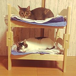 ベッド周り/IKEAのドールベッド/インテリアじゃなくてごめんなさい/猫です。/IKEAのインテリア実例 - 2015-07-02 07:32:09