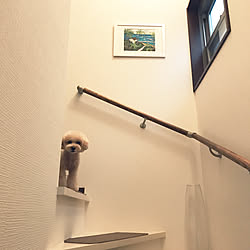 壁/天井/階段/犬と暮らす/ベージュのインテリア実例 - 2017-10-03 16:51:55