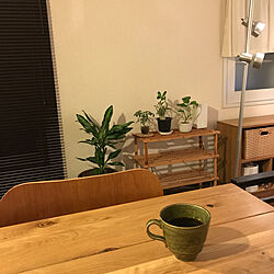 コーヒー/ノットアンティークス/knot antiques/観葉植物/ダイニングテーブル...などのインテリア実例 - 2020-09-17 20:58:31