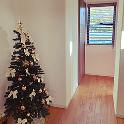 玄関/入り口/クリスマスツリー150cmのインテリア実例 - 2022-11-27 15:31:59