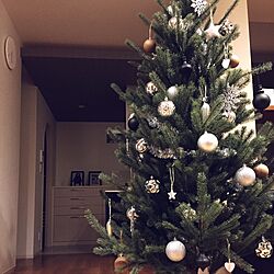 リビング/クリスマスツリー/IKEAのインテリア実例 - 2016-12-15 19:08:06