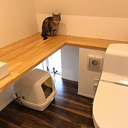 バス/トイレ/猫ドア/ねこと暮らす。/カウンター/TOTO...などのインテリア実例 - 2017-05-04 21:41:27