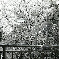リビング/アテネの朝/リビングの窓/雪景色/リビングからの眺めのインテリア実例 - 2017-01-15 19:58:49