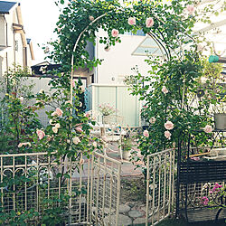 玄関/入り口/庭/第2のお庭/アーチに絡む薔薇/お庭DIY...などのインテリア実例 - 2020-05-13 17:32:02