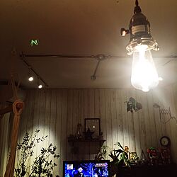 板張り/ハンモック/エジソン電球/GREENのある暮らし/壁/天井のインテリア実例 - 2016-02-25 21:41:15