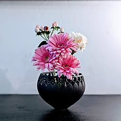 棚/花のある暮らし/植物/アート/グリーンのある暮らし...などのインテリア実例 - 2024-04-29 22:21:53