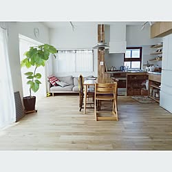 部屋全体/green/無垢床 ナラの木/北欧/シンプルライフ...などのインテリア実例 - 2016-11-07 15:16:56