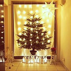 玄関/入り口/クリスマスツリー/IKEA/照明のインテリア実例 - 2013-06-11 12:28:49