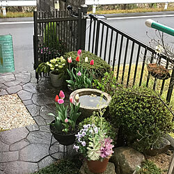 ガーデニング/玄関/入り口のインテリア実例 - 2019-04-10 08:59:55