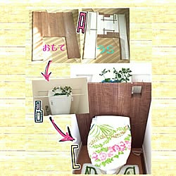 バス/トイレ/トイレ/セリア/100均/トイレタンクを隠すのインテリア実例 - 2015-06-22 08:31:25