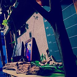 玄関/入り口/DIY/セリア/流木/ホームセンターのインテリア実例 - 2016-07-31 13:04:15