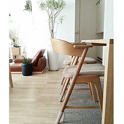 キッチン/Instagram→chie_iiii/グリーンインテリア/観葉植物/IKEA...などのインテリア実例 - 2017-07-20 15:38:09