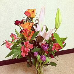 リビング/花/植物のインテリア実例 - 2013-12-08 22:50:16