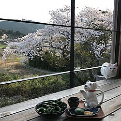 リビング/桜を見ながらのお茶(´∀｀*)/里山/景色が大好き/農婆の日...などのインテリア実例 - 2018-04-01 19:10:16
