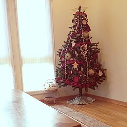 リビング/アントステラ/クリスマスツリーのインテリア実例 - 2013-11-17 15:52:15