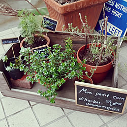 玄関/入り口/イギリスの花屋さん/フランスの花屋さん/コモンタイム/スイートマジョラム...などのインテリア実例 - 2018-05-09 06:56:01