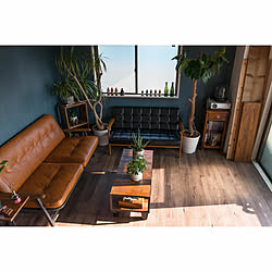 カポック カポックの花 臭い 玄関 入り口 緑 などのインテリア実例 17 07 28 13 17 13 Roomclip ルームクリップ