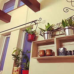壁/天井/植物/食器/DIYのインテリア実例 - 2014-10-13 16:55:01