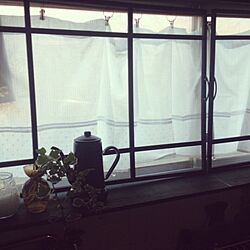 キッチン/窓枠DIY/カフェカーテン/キッチンの窓/観葉植物...などのインテリア実例 - 2015-05-29 17:51:41