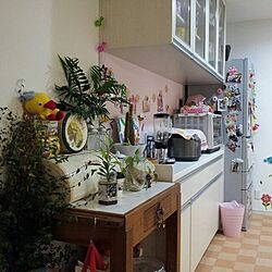 キッチン/植物/雑貨のインテリア実例 - 2013-08-13 23:28:17