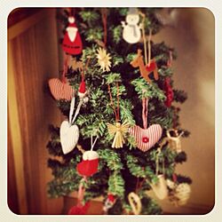 リビング/クリスマスツリーのインテリア実例 - 2012-12-25 01:39:18