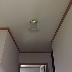 壁/天井のインテリア実例 - 2017-06-03 18:37:28