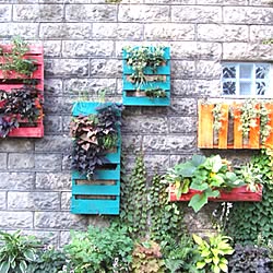 壁/天井/DIY/gardeningのインテリア実例 - 2013-07-14 03:13:33