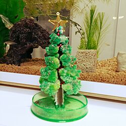 リビング/クリスマスツリーのインテリア実例 - 2016-12-25 21:52:16