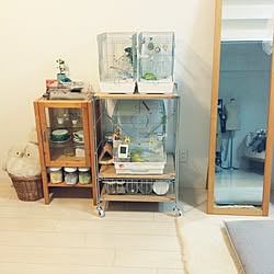 棚/インコと暮らす家/無印良品ユニットシェルフ/二人暮し/賃貸マンション...などのインテリア実例 - 2016-10-15 21:52:46