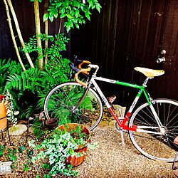 玄関/入り口/ロードバイク/GIOS/自転車/観葉植物...などのインテリア実例 - 2016-10-01 13:46:37