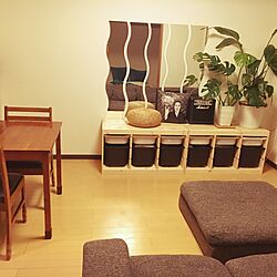 リビング/改造中/IKEA/観葉植物のインテリア実例 - 2016-08-23 21:15:28