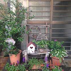 玄関/入り口/DIY/手作り/ハンドメイド/植物のインテリア実例 - 2014-05-25 19:47:12