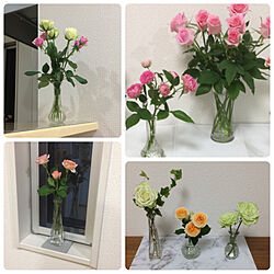 棚/バラが好き/バラの花/バラ/花瓶...などのインテリア実例 - 2020-05-19 21:48:53
