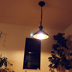 壁/天井/照明/IKEAのインテリア実例 - 2020-09-05 18:23:42