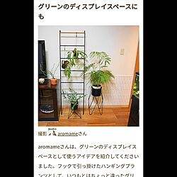リビング/京都/京町家に住む/RoomClip mag 掲載/植物のある暮らしのインテリア実例 - 2024-01-01 15:53:24
