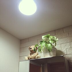 棚/くまさん/観葉植物/照明のインテリア実例 - 2016-01-24 21:00:55
