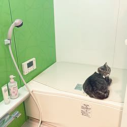 洗顔料/マツキヨブランド/猫のいる暮らし/バス/トイレのインテリア実例 - 2022-02-27 21:19:43