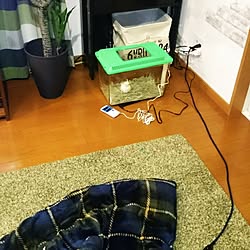 部屋全体/田舎暮らし。。時々都会暮らし/すっきりとした暮らし/おわらいクラブ/毎日笑って隊！...などのインテリア実例 - 2017-04-10 22:12:27