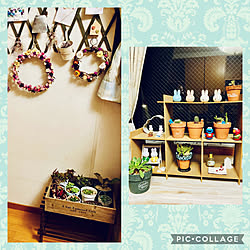 RCの出会いに感謝♡/見てくださってありがとう❁︎/植物のある暮らし/多肉植物/ダイソーミニサボテン...などのインテリア実例 - 2021-10-17 19:15:02