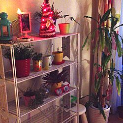棚/観葉植物/IKEA/クリスマス/イルミネーション...などのインテリア実例 - 2013-11-25 16:47:37