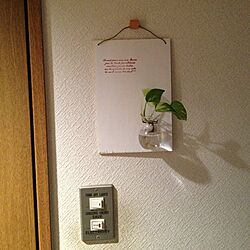 バス/トイレ/観葉植物のインテリア実例 - 2013-11-14 06:04:04