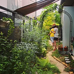 gardening/植物/DIY/ジャンク/handmade...などのインテリア実例 - 2014-10-04 21:20:06