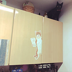 吊り戸棚の上の猫/高いところにいる猫/ねこのいる風景/黒猫ミースケ/キッチンのインテリア実例 - 2021-04-06 17:12:16