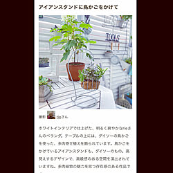 多肉植物のある暮らし/mag掲載ありがとうございます♡/ダイソー雑貨/ホワイトガーデンに憧れて！/インテリア大好き...などのインテリア実例 - 2021-10-07 23:56:04