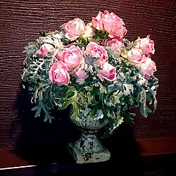 バス/トイレ/植物/My 店のインテリア実例 - 2014-10-22 22:28:15