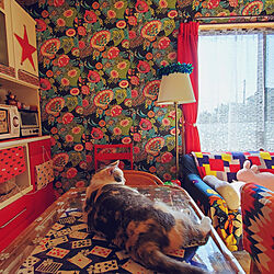 部屋全体/カラフル/犬と猫と暮らす/日常。/大好きな壁紙。...などのインテリア実例 - 2022-03-03 21:57:24